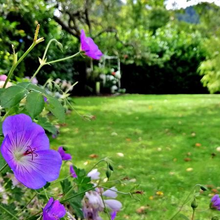 רייפניץ Villa Komposch - Adults Only מראה חיצוני תמונה
